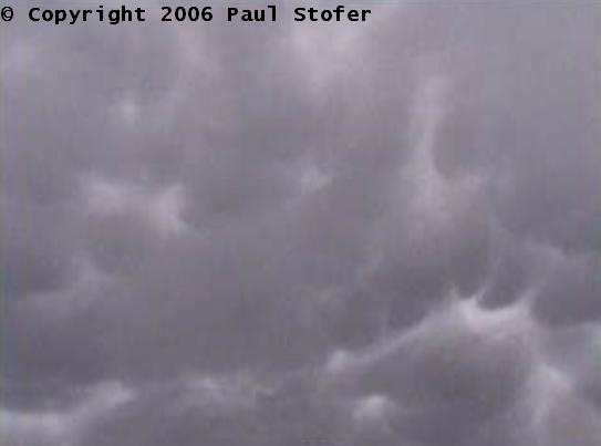 Mammatus
