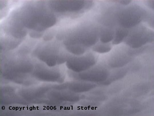 Mammatus