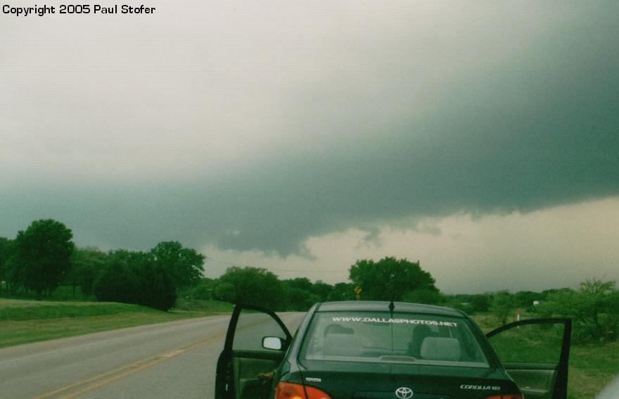 Scud Crossing the road